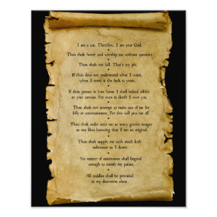 Foto Los diez mandamientos del gato