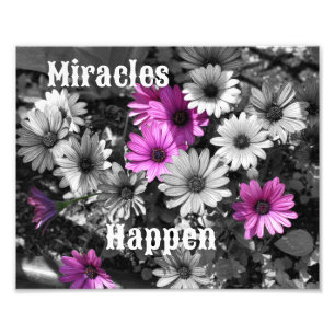 Foto Los milagros ocurren en Daisy Flowers Inspiradores