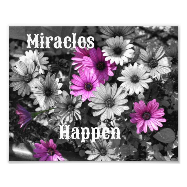 Foto Los milagros ocurren en Daisy Flowers Inspiradores (Frente)