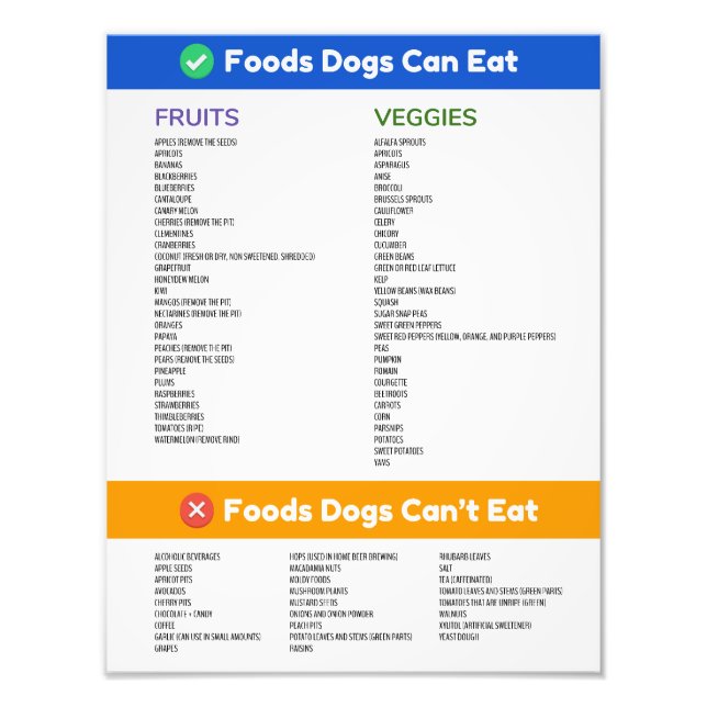 Foto Los perros alimentarios pueden y no pueden Poster (Frente)