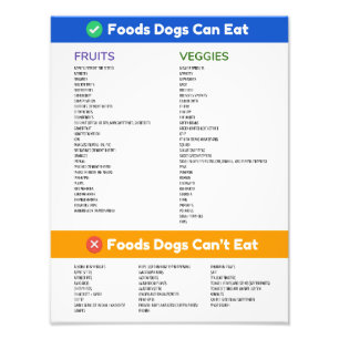 Foto Los perros de las comidas pueden y no pueden