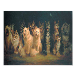 Foto Louis William Wain "Cat Chorus"