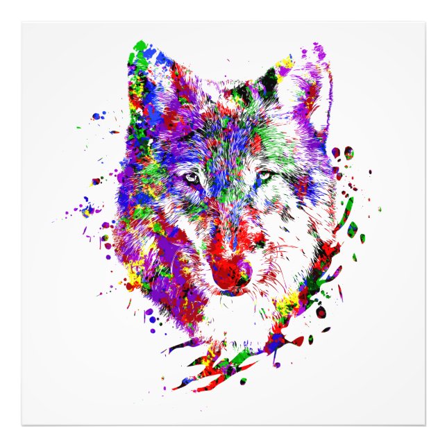 Foto Loup Animal Forêt Sauvage Naturaleza Monde Terre L (Frente)