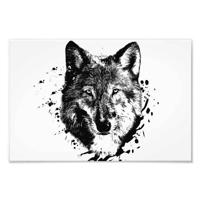 Foto Loup Animal Forêt Sauvage Nature Monde Terre Libre (Frente)