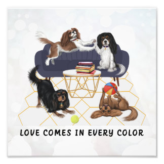 Foto Love Comes in Every Color | Cavalier King Charles 