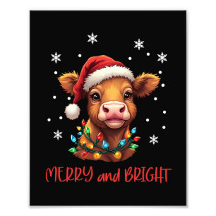 Foto Luces de Navidades de la vaca bebé en el Highland