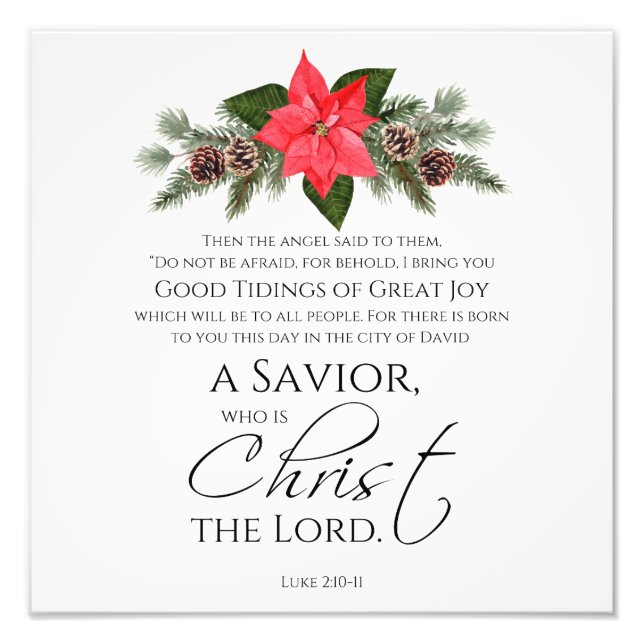 Foto Luke 2:10-11 Good Tidings Poinsettia Navidades (Frente)
