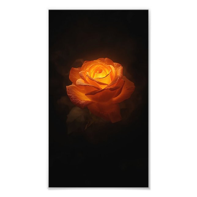 Foto Luminous Orange Rose on Black Velvet – Elegant Flo (Frente)