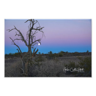Foto Luna de Desierto Azul Púrpura