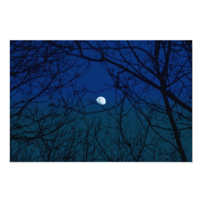 Foto Luna en Ombre Indigo Sky Tree Brands Silhouette (Frente)
