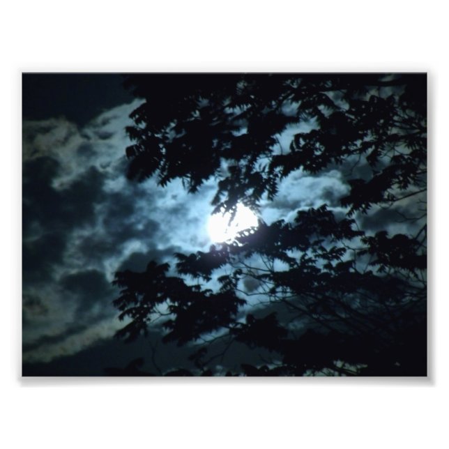 Foto Luna Ilumina la noche detrás de las ramas de árbol (Frente)