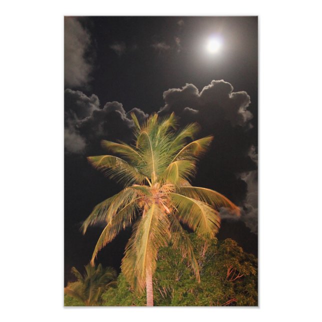 Foto Luna llena sobre una palma tropical (Frente)