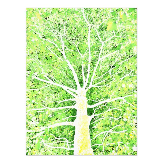 Foto Lux Viridis Flavum 8 (Frente)