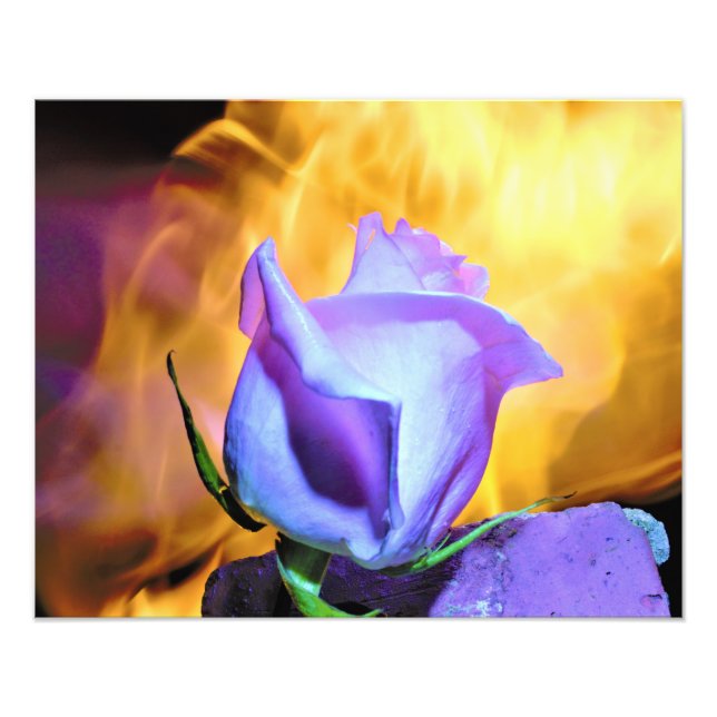 Foto luz de rosas de llamas (Frente)