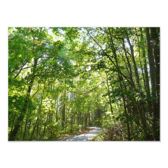 Foto Luz del sol en ruta de madera en el parque Centenn (Frente)