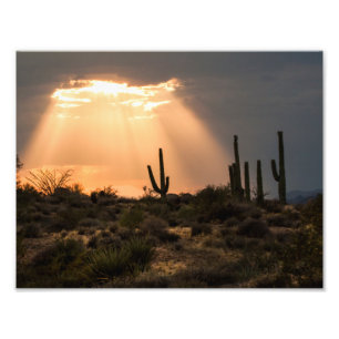 Foto Luz en el desierto
