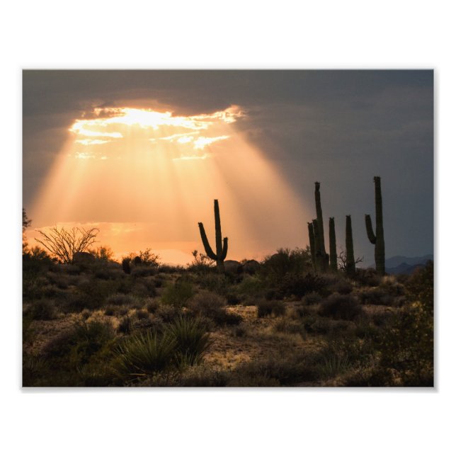 Foto Luz en el desierto (Frente)