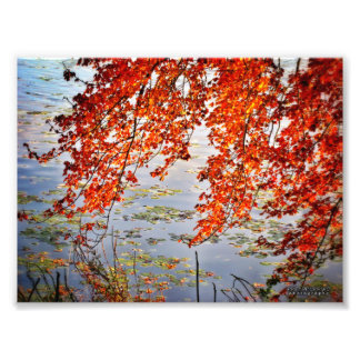 Foto Luz solar de otoño #2