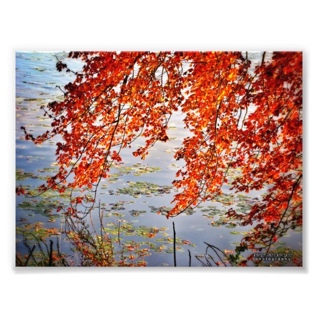 Foto Luz solar de otoño #2 (Frente)