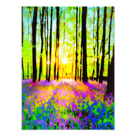 FOTO LUZ SOLAR DE WOODLAND STREAMING
