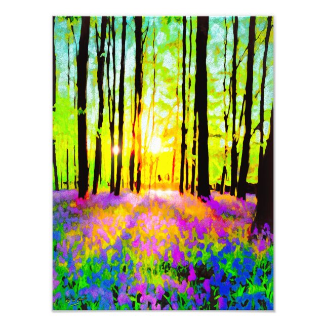 FOTO LUZ SOLAR DE WOODLAND STREAMING (Frente)
