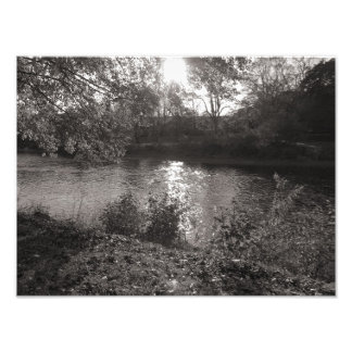 Foto Luz solar en el Taff, Bute Park, Cardiff