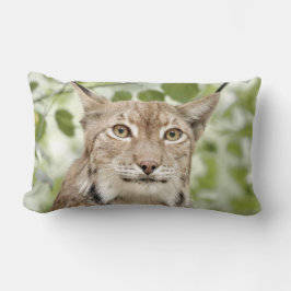 Foto lynx cat , animales . arrojar almohada