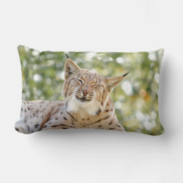 Foto lynx cat , animales . arrojar almohada
