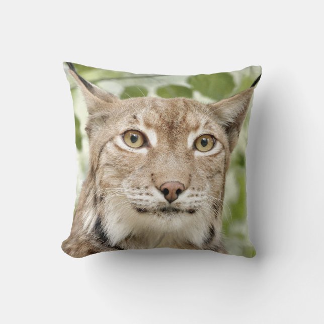 Foto lynx , gato , animales . arrojar almohada (Anverso)