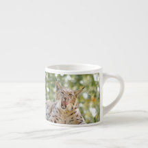 Foto lynx , gato , animales . taza de espresso