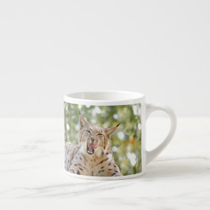Foto lynx , gato , animales . taza de espresso