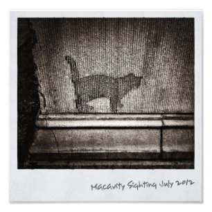 Foto Macavity no allí