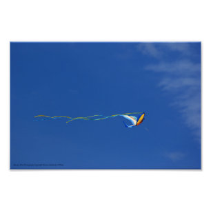 Foto Macaw Kite