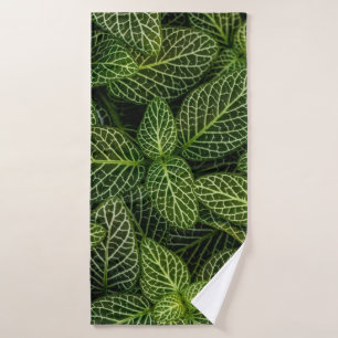 Foto macro de plantas con hojas verdes