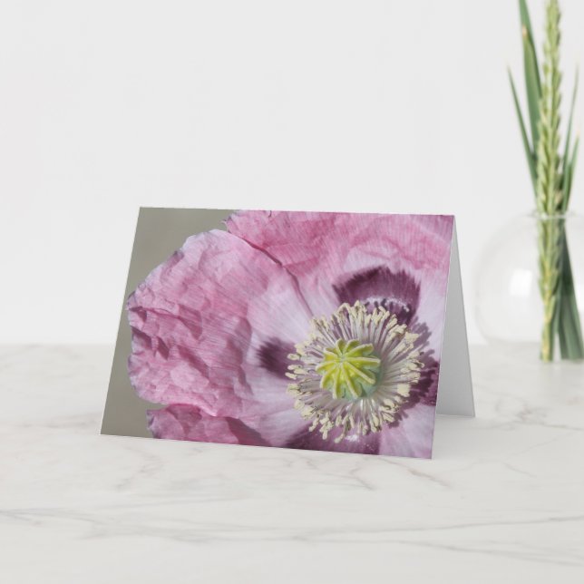 foto macro flor de pasión púrpura - tarjeta en bla (Anverso)