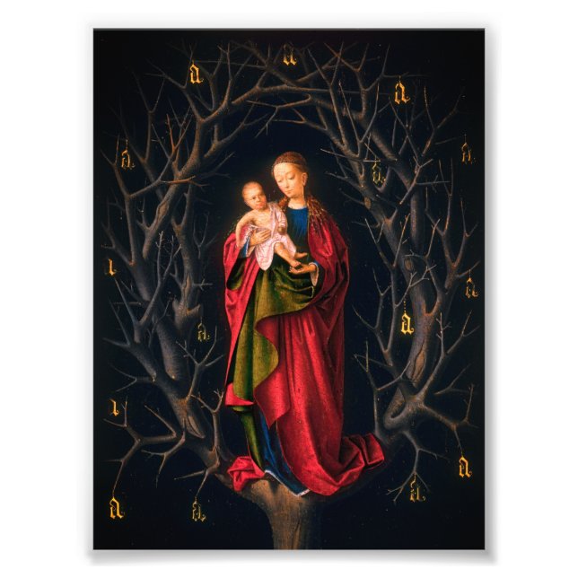 Foto Madonna del Árbol seco (Petrus Christus, 1462-5) (Frente)