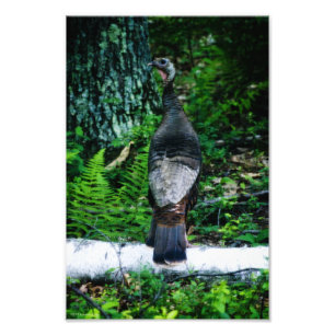 Foto Madre de Turquía