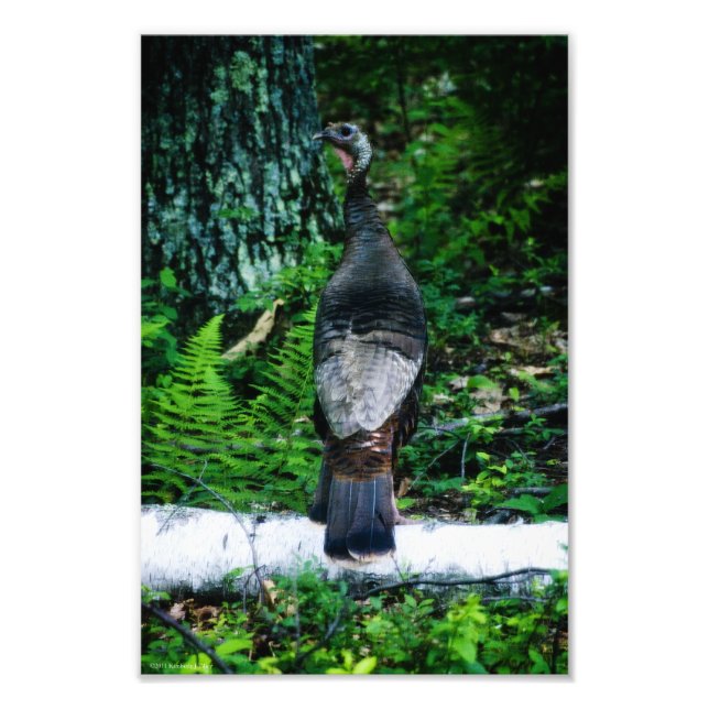 Foto Madre de Turquía (Frente)