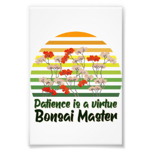 Foto Maestro de Jardín de Bonsái Arte Retro Puesta de S