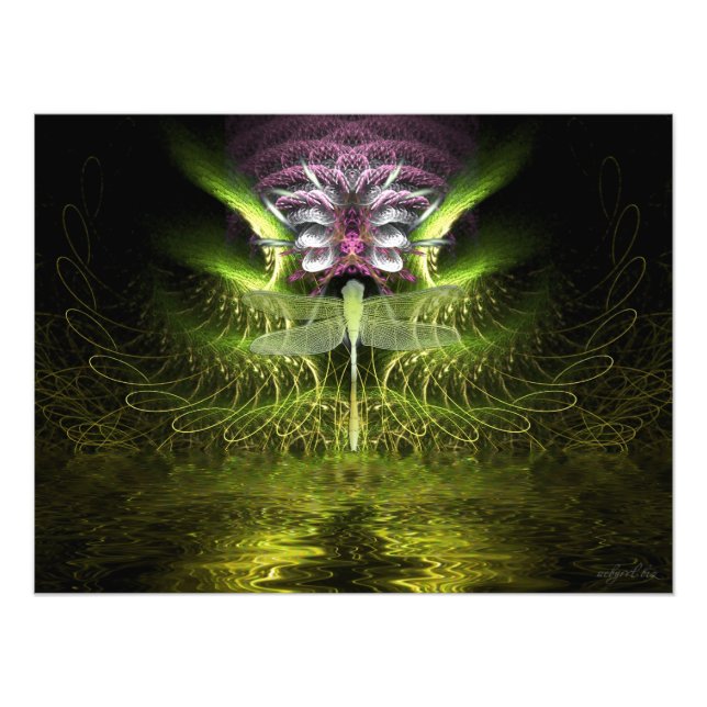 Foto Mágica Fractal de Dragonfly (Frente)