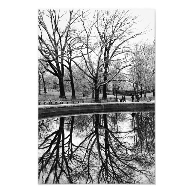 Foto Magnífico paisaje invernal en Central Park (Frente)
