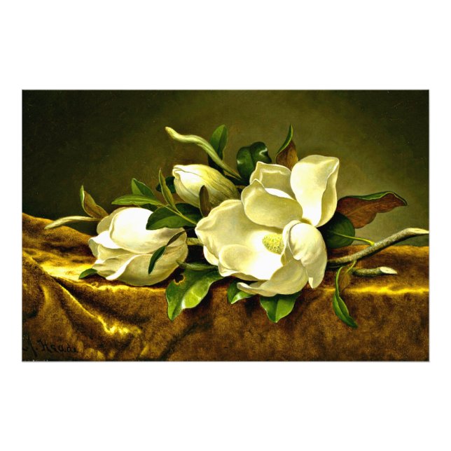 Foto Magnolias sobre tela de terciopelo de oro (Frente)