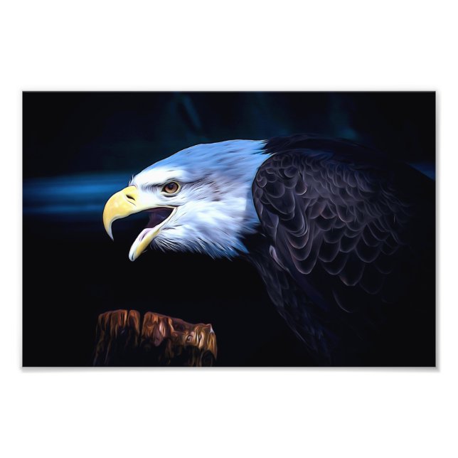 Foto Majestic Bald Eagle (Frente)