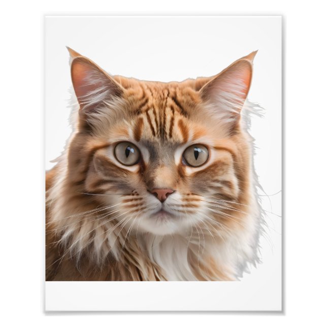 Foto Majestic Orange Tabby Cat Portrait (Frente)