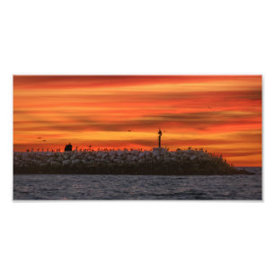 Foto Malecón con pelícanos - Marina Del Rey, CA