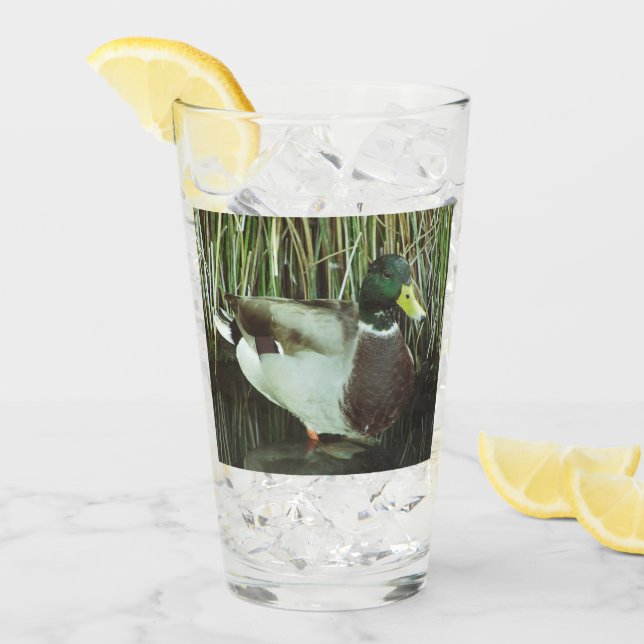 Foto Mallard Duck Outdoorsman Lake Bird (Anverso (hielo))