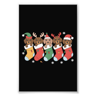 Foto Mamá Dachshund Navidad Regalo para Amantes de Perr