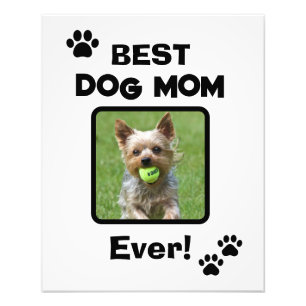 Foto Mamá de perro y gato más linda personalizada