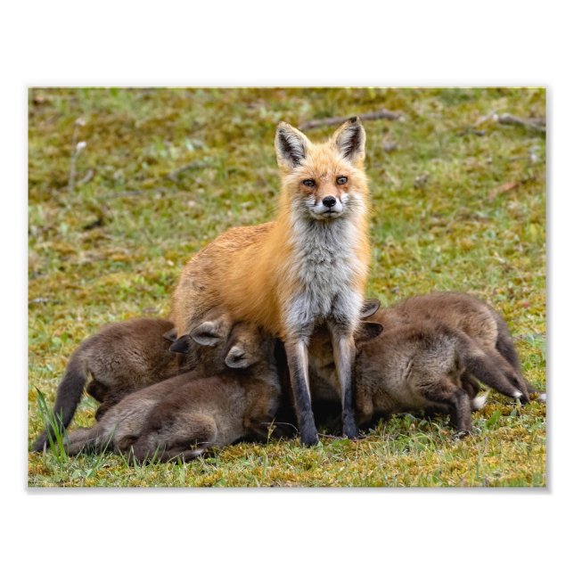 Foto Mamá Ofrece Comida Familiar (Frente)