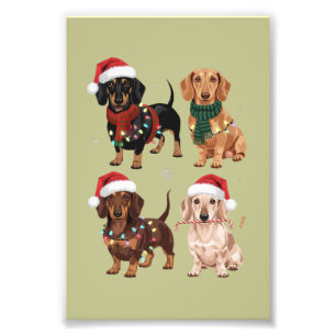 Foto Mamá Perro Amante De Dachshund Navidad Regalo De N